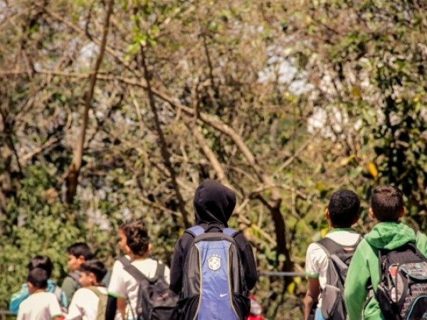 Educação em Louveira