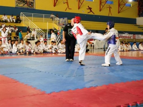 Copa Taekwondo (3).jpg