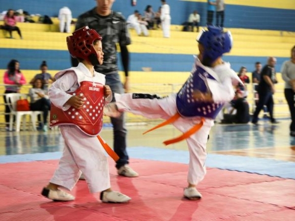 Copa Taekwondo (1).jpg