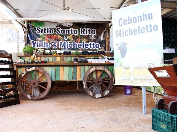 Dia de Campo Vinícola Micheletto 14.jpg