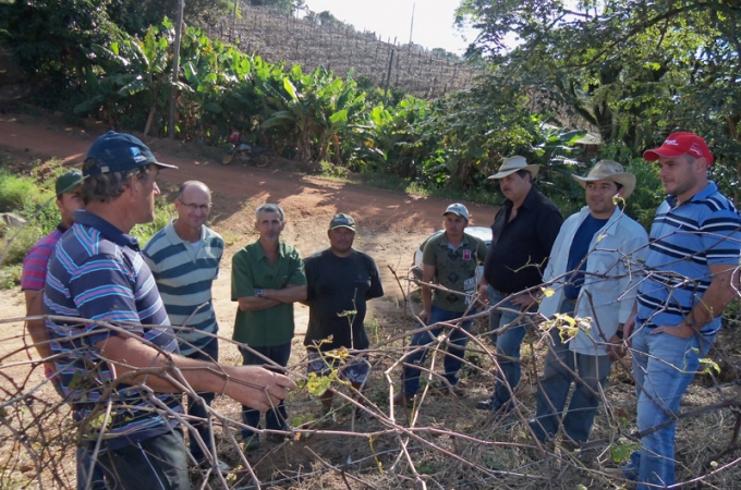 "Projeto Piloto: agrônomo assessora produtores de Louveira" 